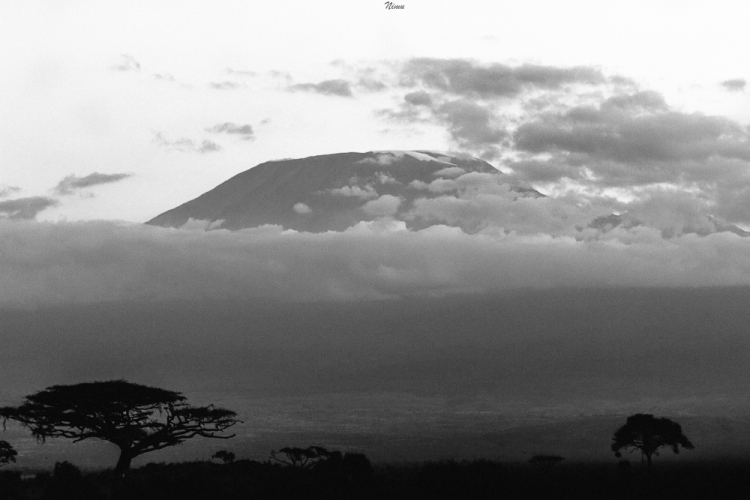 Mount Kilimanjaro :-)